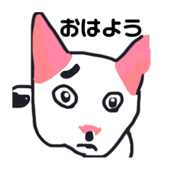 reikurasan_20240619080728