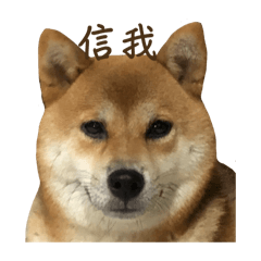 Yung_20240619104009