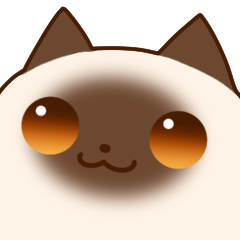 chat with talkative choco Siamese cat