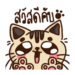 tang  little_20240619091222