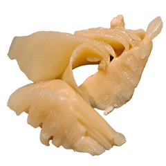 Food Series : Some Bamboo Shoot #3