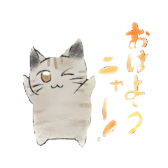 nyanko_20240619073850