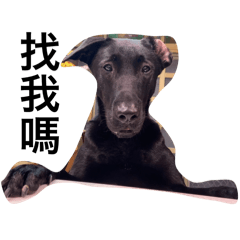 欣庭貼圖1