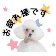 toy poodle stamp part1