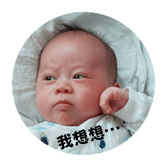 小龍包寶寶baby