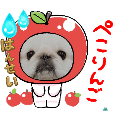 Dchan_20240619185744