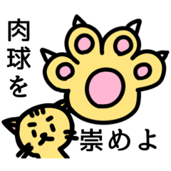 ゆる〜い黄色ネコ