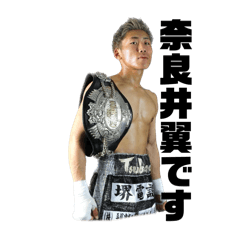 Tsubasa Narai Professional Boxing Stamp