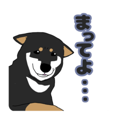 Natur_20240620130913