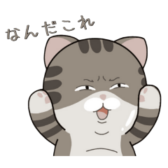 Thai Thai Cat : meme ( Japanese ver.)