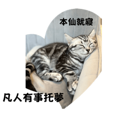 Lucky cat_20240618170803