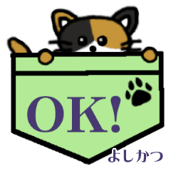Yoshikatsu's Pocket Cat's