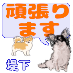 Tsutsumishita's letters Chihuahua