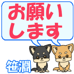 Sasafukashi's letters Chihuahua2