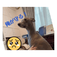 masagoro_20240620175238