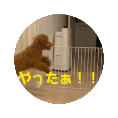 N_20240620230356