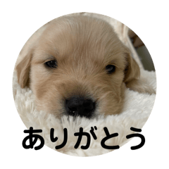 Syuuuuu_20240620185858