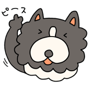 Dog  sutanpu