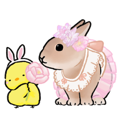 Usapon's cute rabbit Sticker