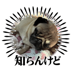 Matyan_20240620184822