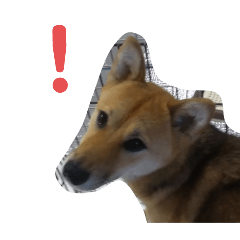 Chiizu_20240620183257