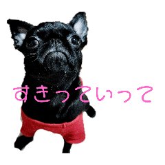 Mokasuke Dog Stamp