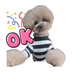 kouichi.ino_20240621033132