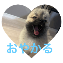 storong_20240621033956