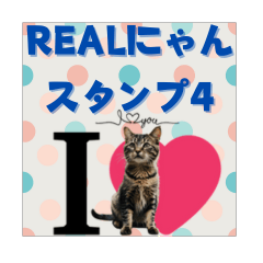 Real Meow Stickers4