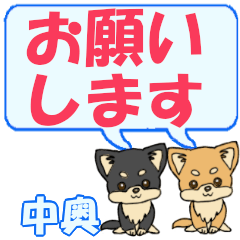Nakaoku's letters Chihuahua2