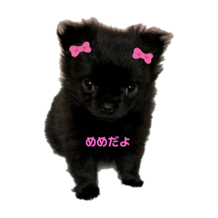 memedayo_20240620204859