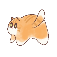 Khai-Som the orange cat