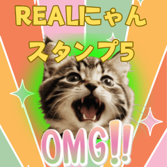 Real Meow Stickers5