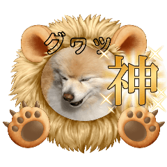 Nagicchi_20240621161616