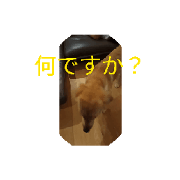 mikkun_20240621212535
