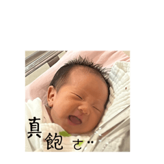波比妹妹2