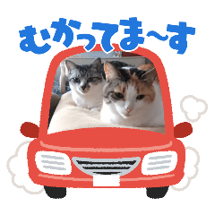 syogayuzuko_20240621215437