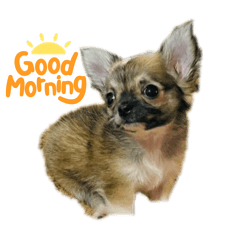 puku_20240621230753