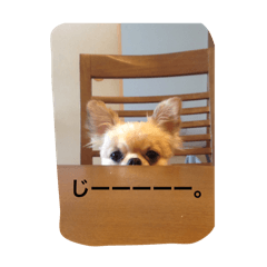 PANKITI_20240622023457