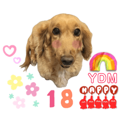 妹妹奶奶狗