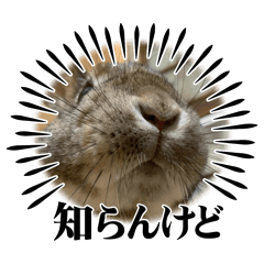 latte &marron_20240621233017