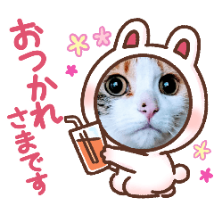 syogayuzuko_20240622132821