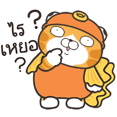 เหมียวซ่า : อควอเรียม