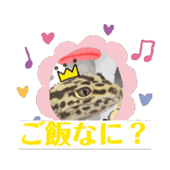 kyahon_20240622225221