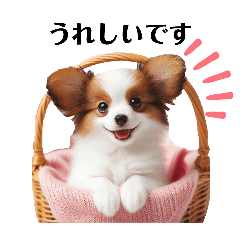 かわいいパピヨンの犬スタンプ