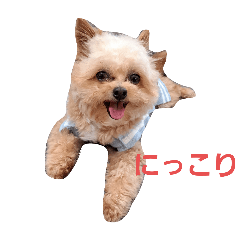 mofuri_20240622150131