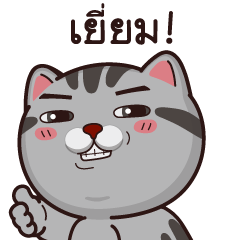 วีต้าแมวป่วน จอมดราม่า