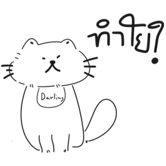 Mano_20240623161256