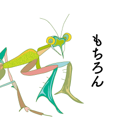 praying mantis reply