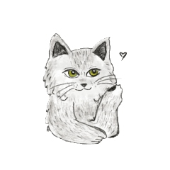 Tabby, the Grey Cat